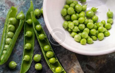 It&rsquo;s All About Veggies