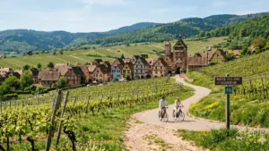 Cyclistes sur la route des vins d'Alsace au printemps avec vue sur le village de Riquewihr et les vignoble